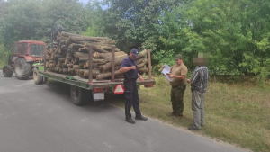 policjant  i strażnik leśny kontrolują mężczyznę, który przewozi drewno