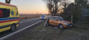 Miejsce zdarzenia drogowego. Z lewej strony na drodze stoi ambulans. W niewielkiej odległości za nim stoi policyjny radiowóz. Z prawej strony pojazd marki opel, który stoi przy ogrodzeniu posesji.