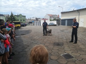 Mł. asp. Dariusz Śliwiński i sierż. szt. Dawid Jułga opowiadają jaką rolę pełnią w Policji psy służbowe. Przy przewodniku jego pies Wally