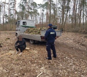 policjant  stoi obok siedzącego na  pniu mężczyzny, za nim jest samochód dostawczy, na  którym znajduje się drewno