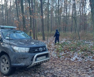 Obszar leśny. Z lewej strony samochód Straży Leśnej. Pomiędzy drzewami policjant.